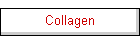 Collagen
