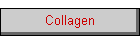 Collagen