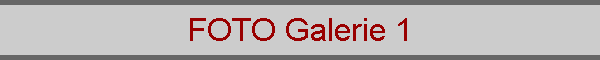 FOTO Galerie 1