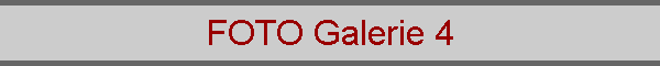 FOTO Galerie 4