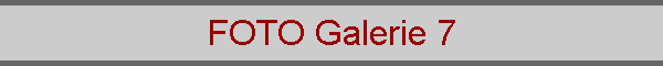 FOTO Galerie 7