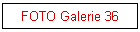 FOTO Galerie 36