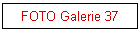 FOTO Galerie 37