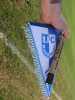03-07-23 bfc-fcm-2-1-271