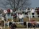 03-03-29 BFC--Union-220