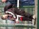 03-03-29 BFC--Union-226