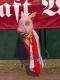 Drehen von03-03-29 BFC--Uniona-436